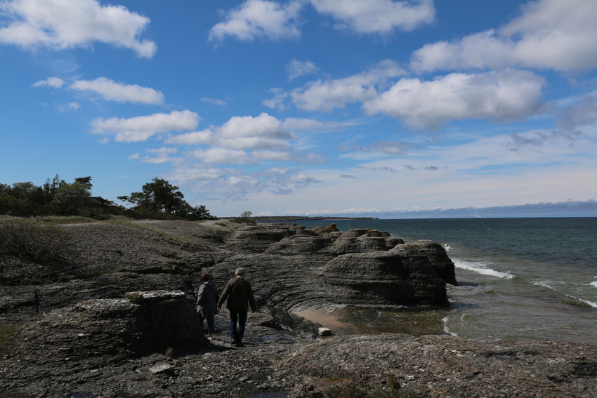 gal/Øland/w20250517-094724_70D.jpg