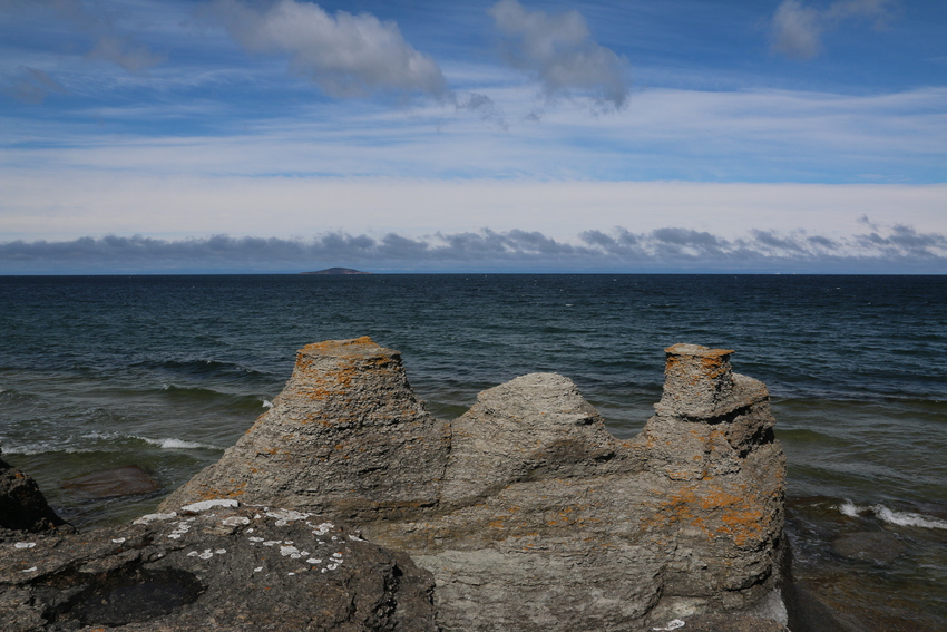 gal/Øland/w20250517-095022_70D.jpg