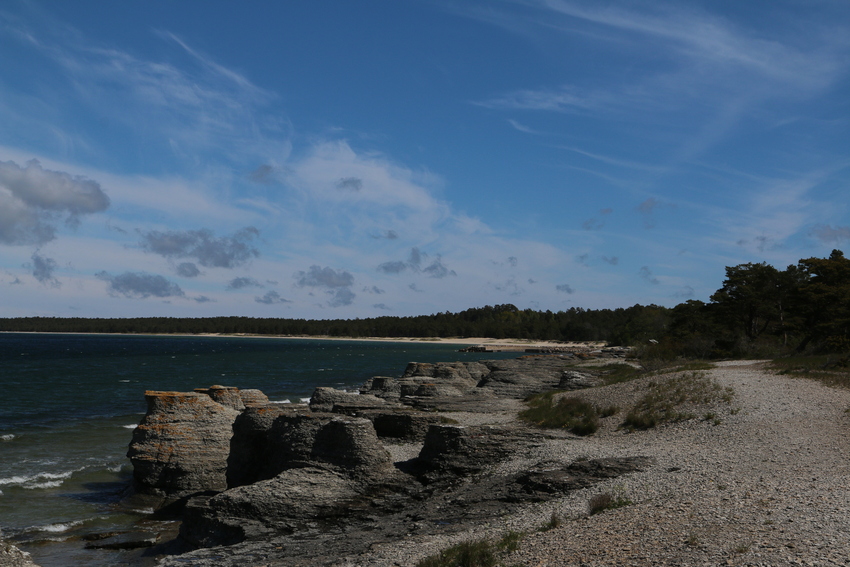gal/Øland/w20250517-095310_70D.jpg