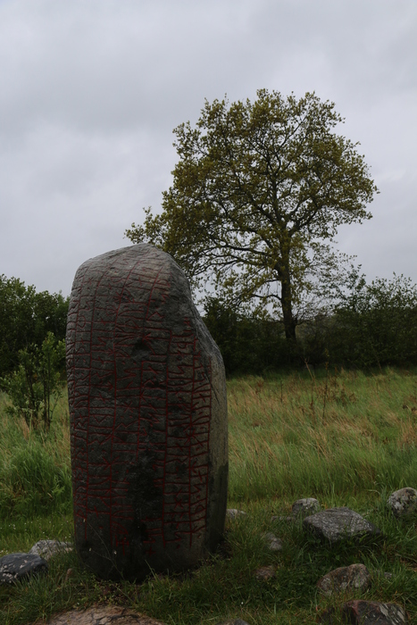 gal/Øland/w20250518-101344_70D.jpg