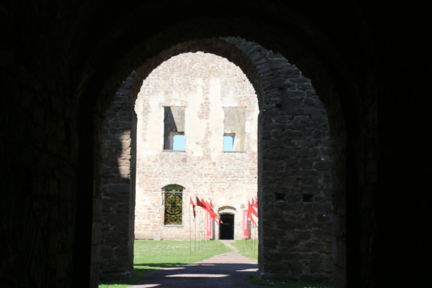 gal/Øland/w20250519-103834_70D.jpg