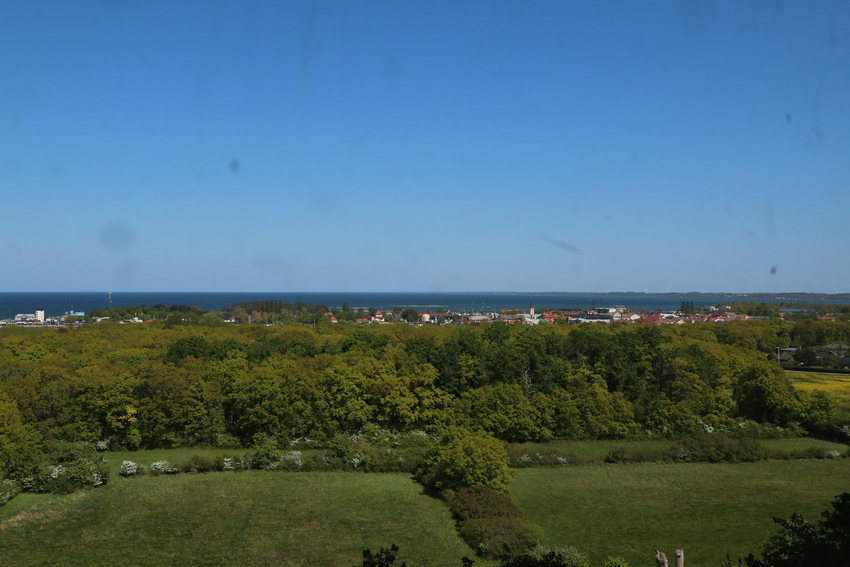 gal/Øland/w20250519-113011_70D.jpg