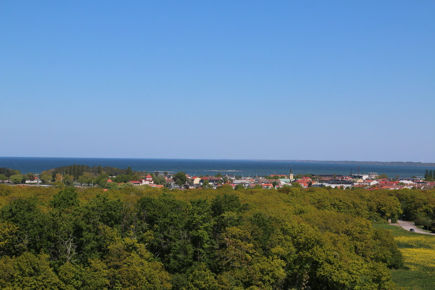 gal/Øland/w20250519-113930_70D.jpg