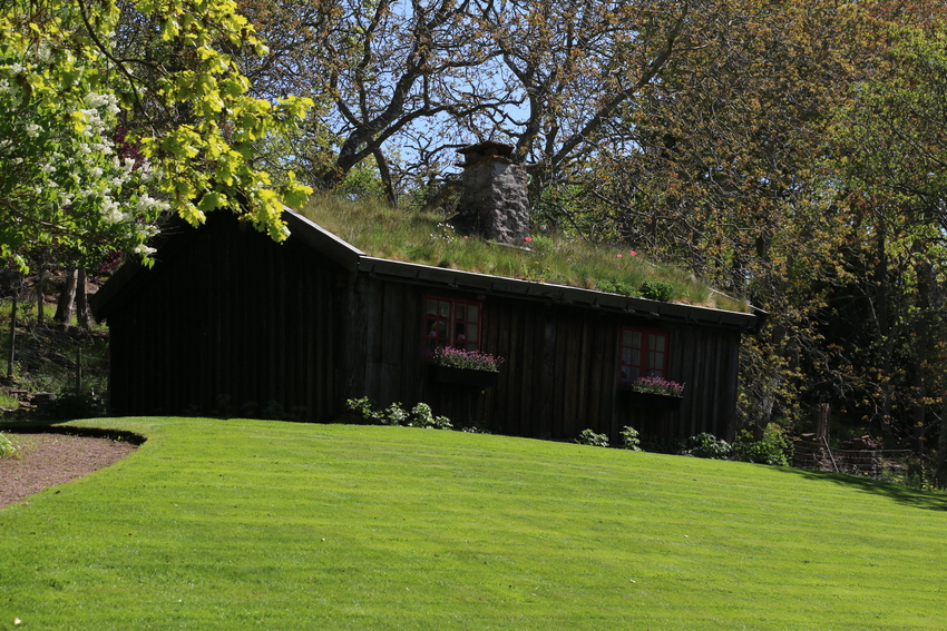 gal/Øland/w20250519-133105_70D.jpg