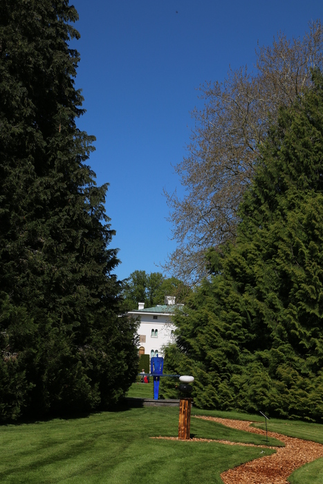 gal/Øland/w20250519-135224_70D.jpg