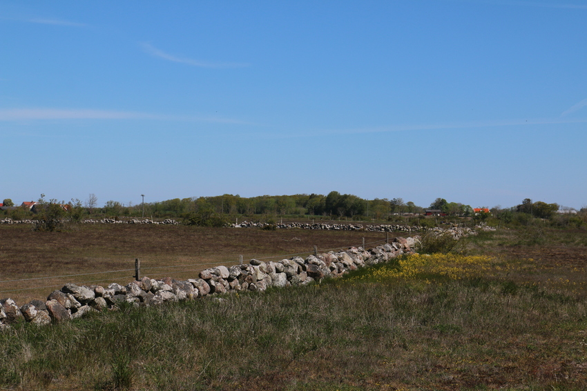gal/Øland/w20250520-092825_70D.jpg