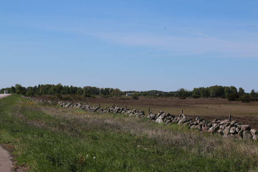 gal/Øland/w20250520-092909_70D.jpg