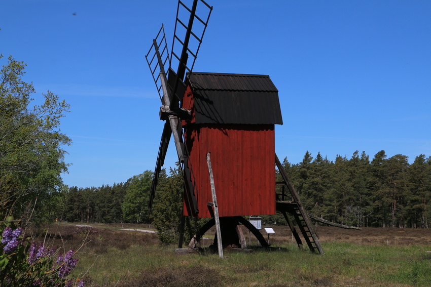 gal/Øland/w20250520-100230_70D.jpg
